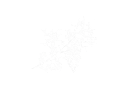 Pinus emblem