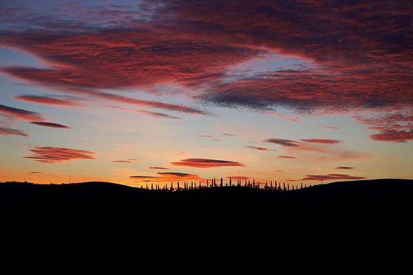 around the house @cunina 58