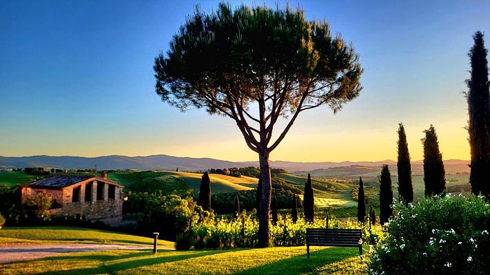 around the house @cunina 12