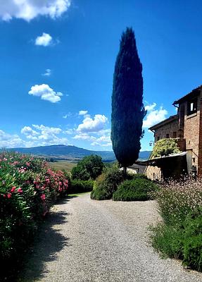 around the house @cunina 28