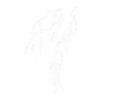 Salix emblem