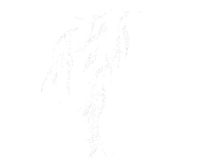 Salix apartment view