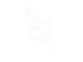 Taxus emblem