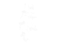 Hedera emblem